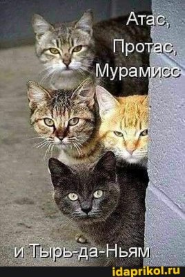7342baa8103e924e03ee36a0af2889830de14cda309a6b5e41d5407407d5d5c1_1.jpg.jpg