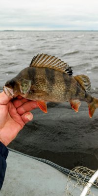 IMG_20260523_084441_424~2.jpg