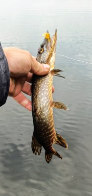 IMG_20260511_173505_109~2.jpg