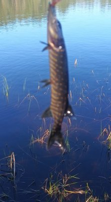 IMG_20260503_123300_132~2.jpg