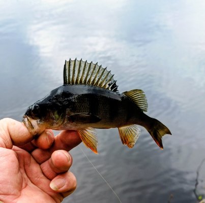 IMG_20260510_134210_774~2.jpg