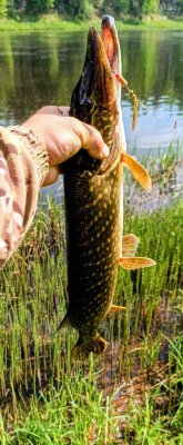 IMG_20260521_132804_202~2.jpg