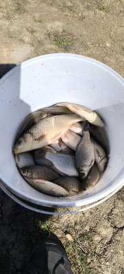 IMG_20260502_131426.jpg