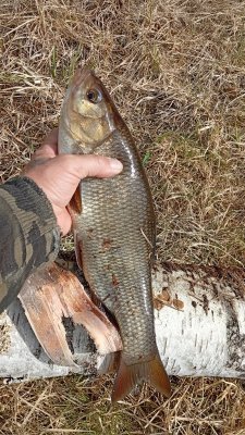 IMG_20260509_120035.jpg