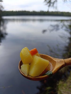 IMG_20260509_175558.jpg