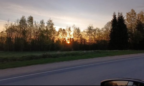IMG_20260510_135922.jpg