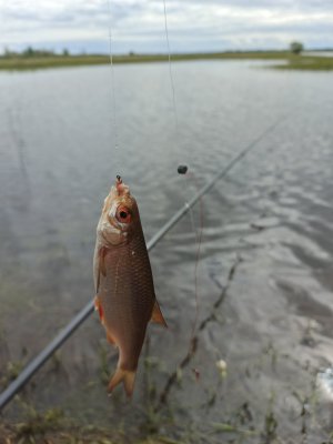 IMG_20260511_144217_362.jpg