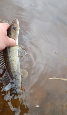 IMG_20260511_164234.jpg