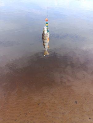 IMG_20260513_142647.jpg