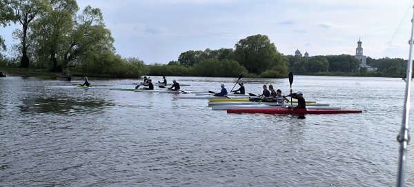 IMG_20260513_170316.jpg