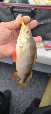 IMG_20260516_103041.jpg