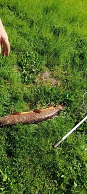 IMG_20260516_150930_075.jpg