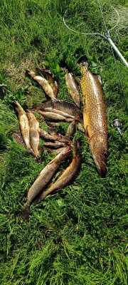 IMG_20260516_151317_497.jpg