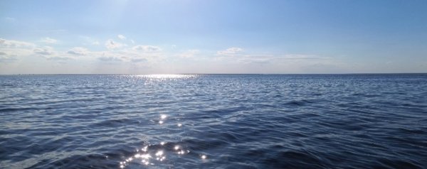 IMG_20260517_094135.jpg