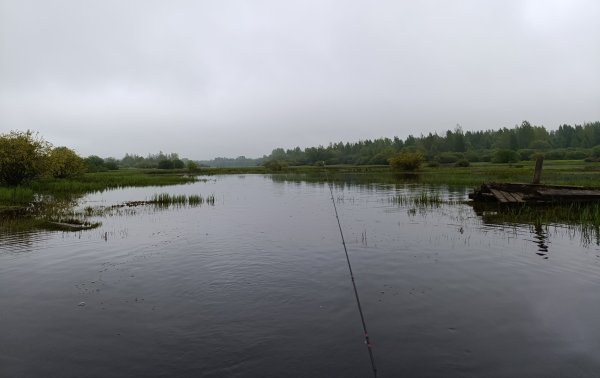 IMG_20260517_094352.jpg