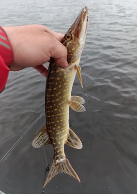 IMG_20260517_094919.jpg