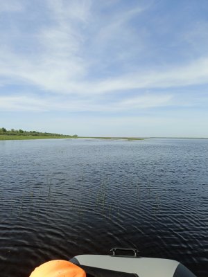 IMG_20260519_094411_883.jpg