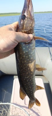 IMG_20260519_154447_007.jpg