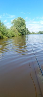 IMG_20260523_134826_584.jpg