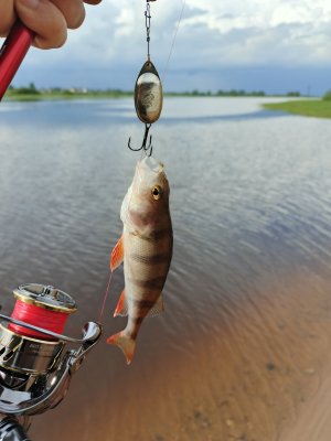 IMG_20260524_171547_943.jpg