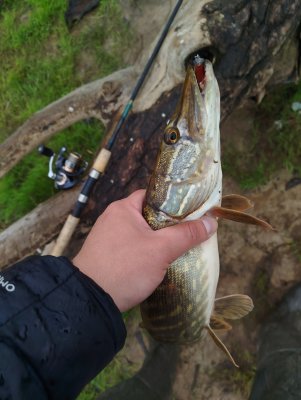 IMG_20260530_124012.thumb.jpg.92d5d90b6849d141ec7406c799b3abd0.jpg