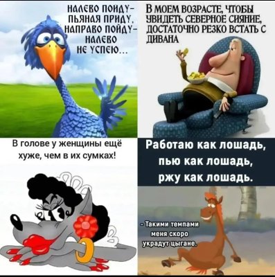 IMG_9978.jpeg