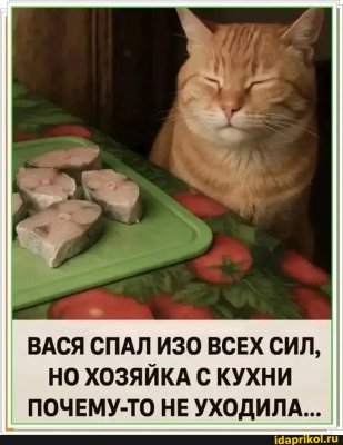 a60e326ab2b800a990c44efdbe5c616309361d175f3592c8daab4125a025858a_1.jpg.jpg