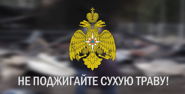 rssImage-6a632fd4bb42090ae0bf3bbfe8c19385.png