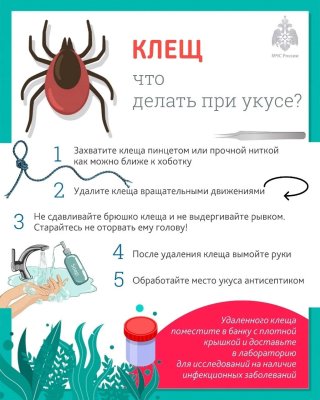 rssImage-b188f9ed6259c28cfa4d688ab2de13c4.jpeg