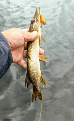 IMG_20260618_140111_192~2.jpg