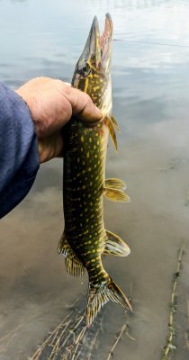 IMG_20260617_124759_540~2.jpg
