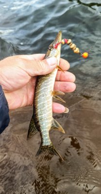 IMG_20260619_170419_553~2.jpg