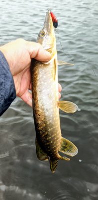 IMG_20260618_151432_134~2.jpg