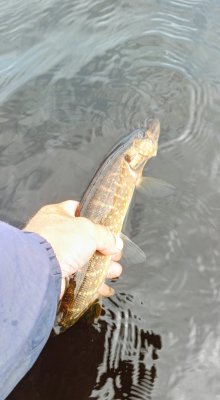 IMG_20260619_121821_230~2.jpg