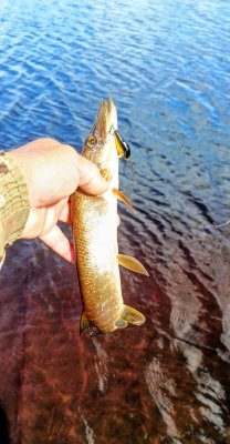 IMG_20260620_155743_015~2.jpg