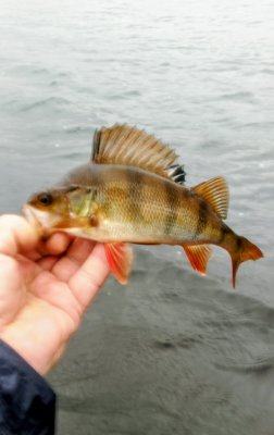 IMG_20260618_171004_496~2.jpg