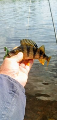 IMG_20260617_102446_782~2.jpg