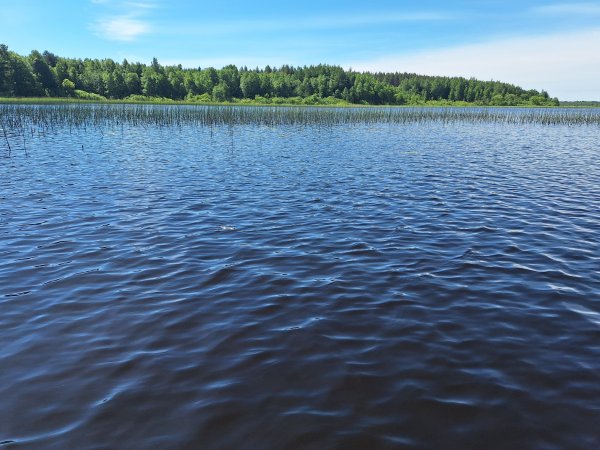 20260606_105803.jpg