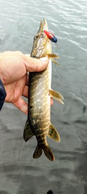 IMG_20260618_142611_233~2.jpg