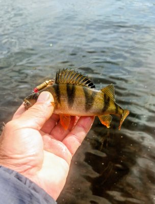 IMG_20260617_100710_301~2.jpg