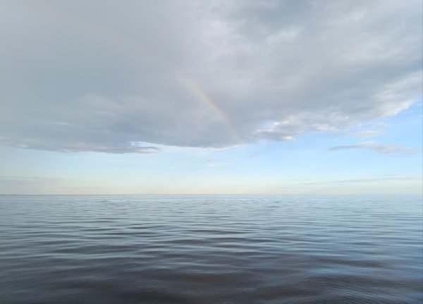 IMG_20260603_212939.jpg