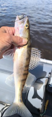 IMG_20260608_130308.jpg