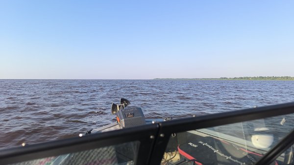 IMG_20260612_065010_441.jpg