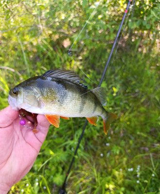 IMG_20260612_184955.jpg