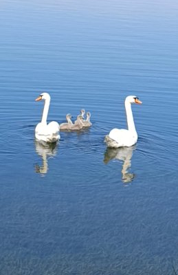IMG_20260612_185139.jpg