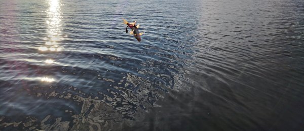 IMG_20260620_050004.jpg