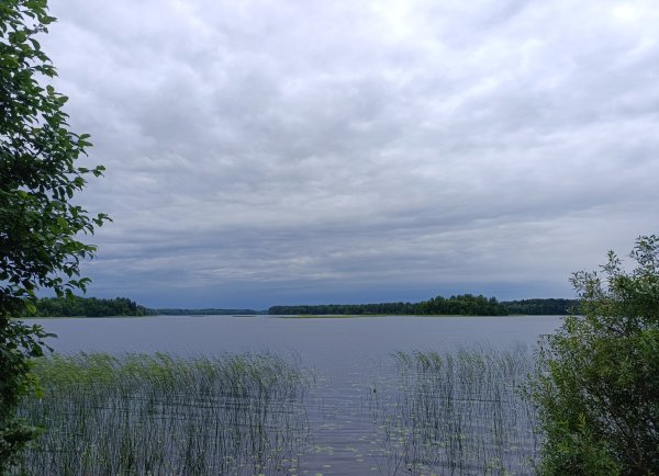 IMG_20260625_082110.jpg