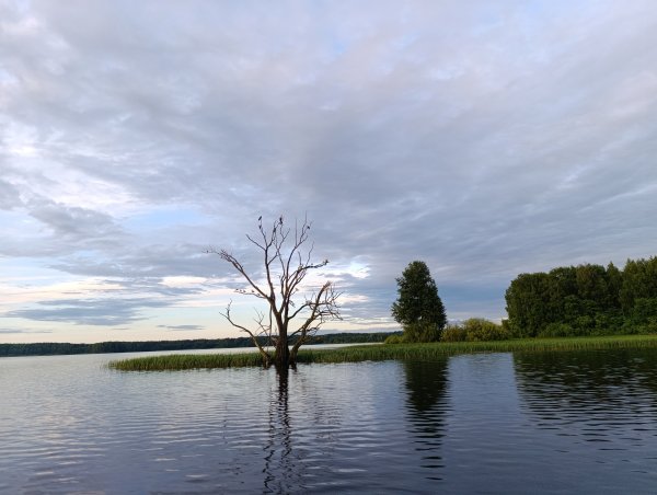 IMG_20260626_210819.jpg