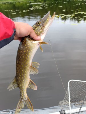 IMG_20260627_075808.jpg