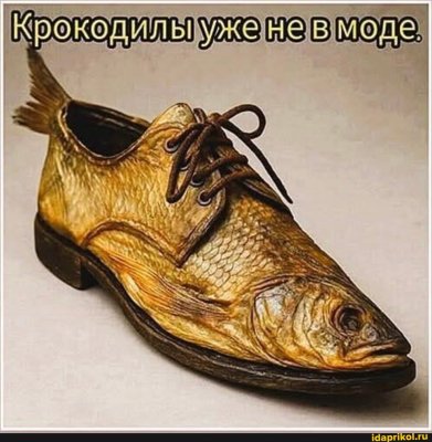 e1c134f91ec0070087f343c56a0f86c34eff055d4a16cfe14e323b593a99cec5_1.jpg.jpg